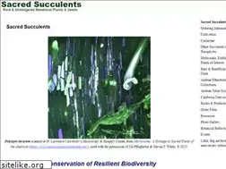 Sites similar to sacredsucculents.com