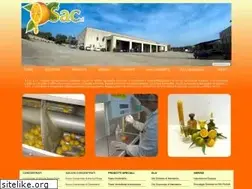 Sites similar to sacsucchi.com