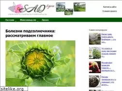 Sites similar to sad4you.ru