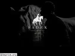Sites similar to sadekequestrianart.com