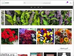 Sites similar to sadra-store.ir