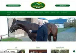 Sites similar to sadunoktavstud.com
