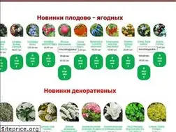 Sites similar to sady-bahmyta.shop