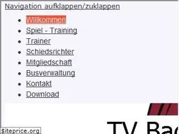 Sites similar to saeckingen-basket.de