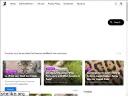 Sites similar to safakbilisim.com