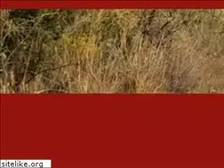 Sites similar to safarijeeptours.com