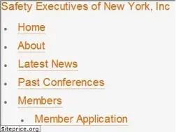 Sites similar to safetyexecutivesny.org