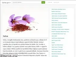 Sites similar to safran.gen.tr