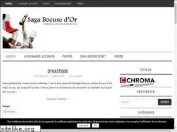 Sites similar to saga-bocusedor.com