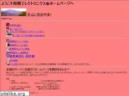 Sites similar to sagamielectro.com