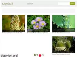Sites similar to sagebud.com