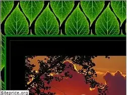 Sites similar to sagewisdombotanicals.com