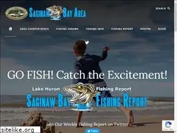 Sites similar to saginawbay.net