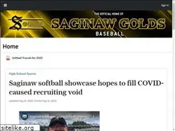 Sites similar to saginawgoldsbaseball.com