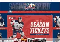Sites similar to saginawspirit.com