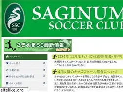 Sites similar to saginuma-sc.com
