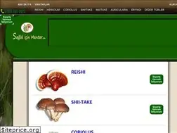 Sites similar to saglikicinmantar.com
