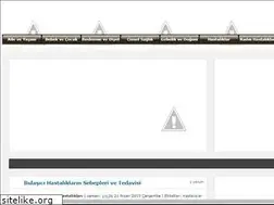Sites similar to saglikvezayiflama.blogspot.com