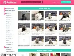 Sites similar to sahibim.net