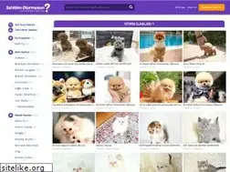 Sites similar to sahibimolurmusun.com