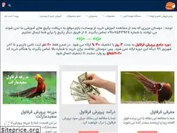 Sites similar to saiedmarket.ir