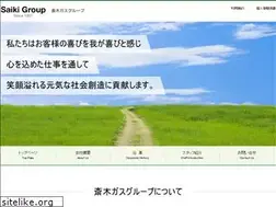 Sites similar to saiki-grp.co.jp