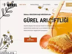 Sites similar to saimahmetgurel.com