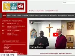 Sites similar to saintelizabeths.org