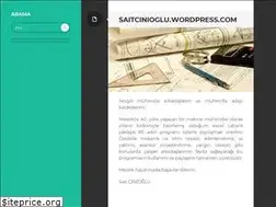 Sites similar to saitcinioglu.wordpress.com