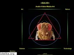 Sites similar to sajo-art.de