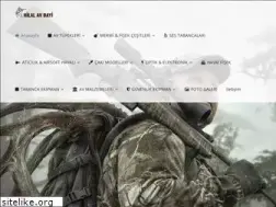 Sites similar to sakaryaavbayi.com