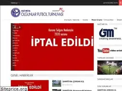 Sites similar to sakaryaolgunlarturnuvasi.com