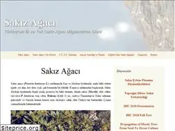 Sites similar to sakizagaci.gen.tr