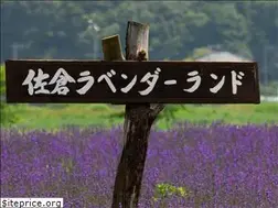 Sites similar to sakura-lavender.com