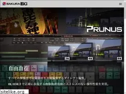 Sites similar to sakuraeiki.co.jp