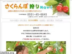 Sites similar to sakuranbo-navi.com