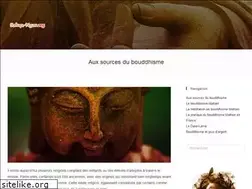 Sites similar to sakya-ngor.org