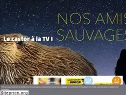 Sites similar to salamandre.org