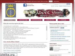 Sites similar to salernitanastory.it