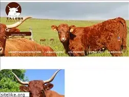 Sites similar to salers.org