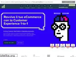 Sites similar to salesmanago.it