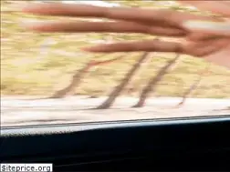 Sites similar to salfasur.cl