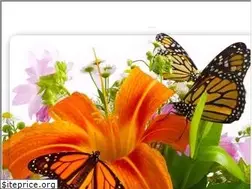 Sites similar to salfetka.at.ua