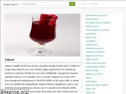 Sites similar to salgam.gen.tr