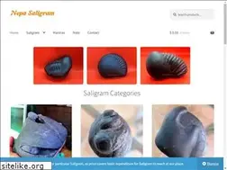 Sites similar to saligram.org