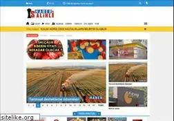 Sites similar to salihlihaber.net