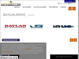 Sites similar to salihogullari.com.tr
