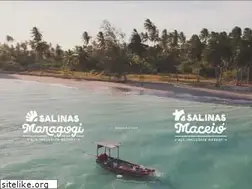 Sites similar to salinas.com.br