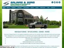 Sites similar to salinassonsirrigation.com