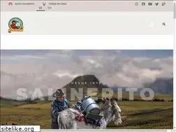 Sites similar to salinerito.com